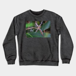 Banana Spider Crewneck Sweatshirt